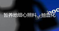 快排公司十年历程，霸屏兔 seo 的崛起与坚守