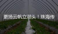 快排公司十年历程，霸屏兔 seo 的崛起与坚守