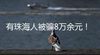 快排公司十年历程，霸屏兔 seo 的崛起与坚守