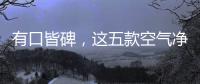 有口皆碑，这五款空气净化器品牌是夏季最好的选择