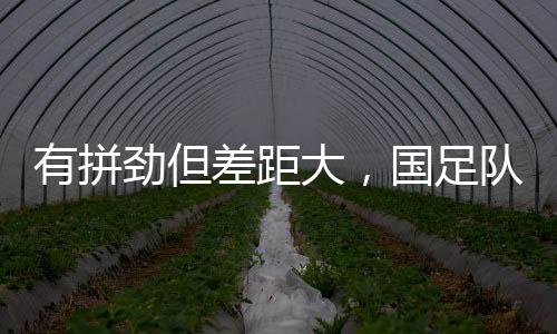足队本场比赛结束后