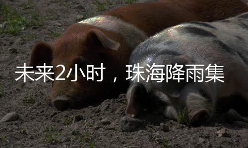 未小湾区万山4月25日14时10分