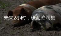 未来2小时，珠海降雨集中在金湾区、合作区和万山区