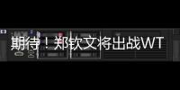 期待！郑钦文将出战WTA500华盛顿站比赛