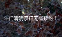 快排公司十年历程，霸屏兔 seo 的崛起与坚守