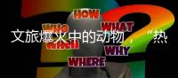 文旅爆火中的动物
，“热爱不代表零距离接触”