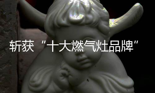 斩获信息覆盖七大搜索引擎