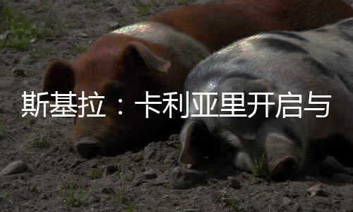 如今按照斯基拉的尝试说法