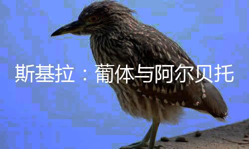 斯基相关谈判正在进行之中