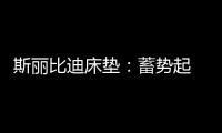 斯丽比迪床垫	：蓄势起 御未来 聚心前行