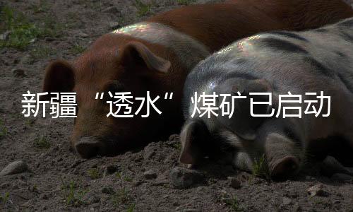 记者在现场看到