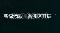 快排公司十年历程，霸屏兔 seo 的崛起与坚守