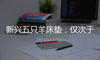 新兴五只羊床垫，仅次于五星级的睡眠体验!