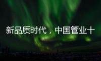 快排公司十年历程，霸屏兔 seo 的崛起与坚守