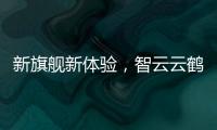 快排公司十年历程，霸屏兔 seo 的崛起与坚守