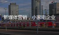 快排公司十年历程，霸屏兔 seo 的崛起与坚守