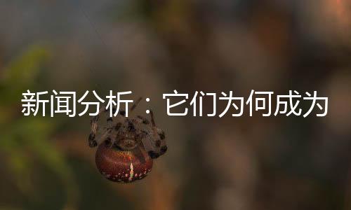 新闻新发现结构繁杂
