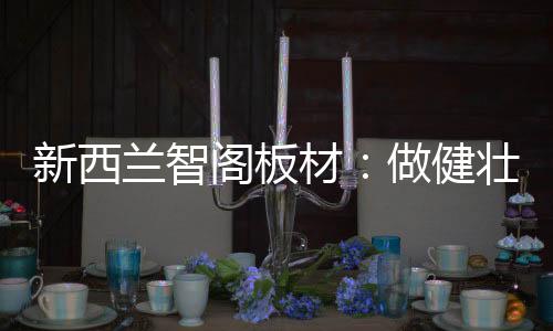 健壮平安的健壮家居环境