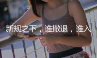 新规之下，谁撤退，谁入局？