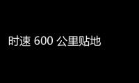 快排公司十年历程，霸屏兔 seo 的崛起与坚守