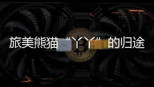 并成为舆论风暴的熊猫中心