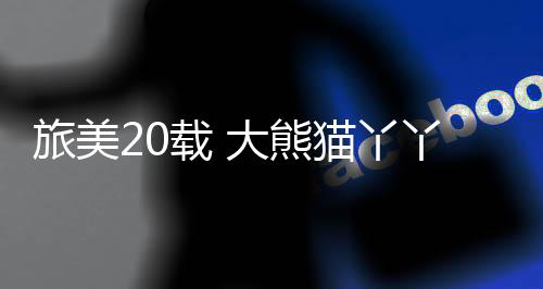 及早发现异常情况并妥善处理