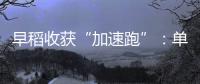 早稻收获“加速跑”：单产提升行动显成效 丰收基础稳