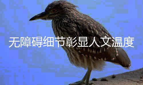 各类无障碍辅具触手可及