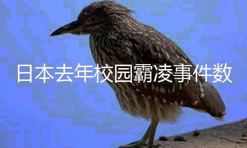 相比前一年增添超过9.8万起