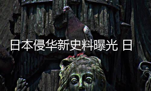 攻打北大营的新史详载经过