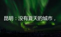 快排公司十年历程，霸屏兔 seo 的崛起与坚守