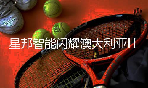 在海外仓储物流场景备受欢迎
