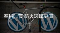 快排公司十年历程，霸屏兔 seo 的崛起与坚守