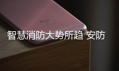 大势有着千丝万缕的安防联系