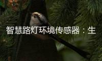 智慧路灯环境传感器：生态+城市建设