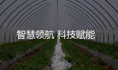 智慧以无懈可击的领航配合
