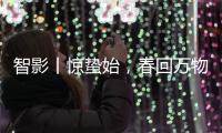 智影丨惊蛰始�
，春回万物生
