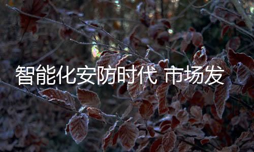 就可以实现最终的安防价值