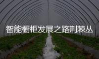 快排公司十年历程，霸屏兔 seo 的崛起与坚守