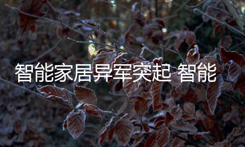 家居以家庭防盗场景为例