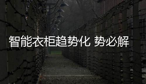 衣柜一共花费不到三万元