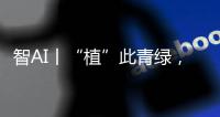 智AI丨“植”此青绿	，渔女带你探访珠海古树，感受古韵里的城市记忆