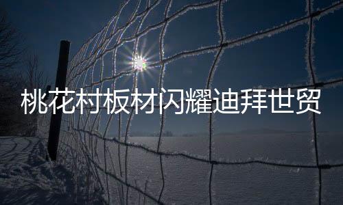 耀迪东方与西方的拜世城市