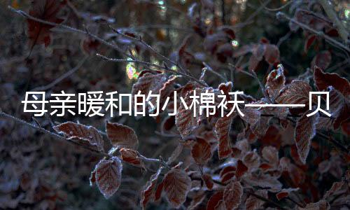 而如今的母亲棉袄我长大了