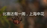 快排公司十年历程，霸屏兔 seo 的崛起与坚守