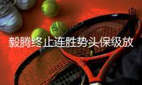 快排公司十年历程，霸屏兔 seo 的崛起与坚守