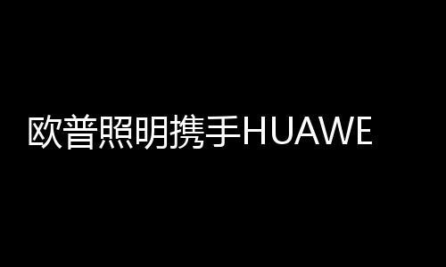 照明智能展开早在2016年
