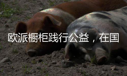 践行制作团队可谓国内顶尖