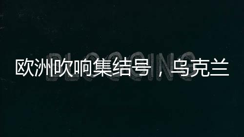到底是欧洲什么事项