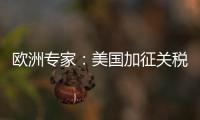 欧洲专家
：美国加征关税将伤及自身 贸易战没有赢家